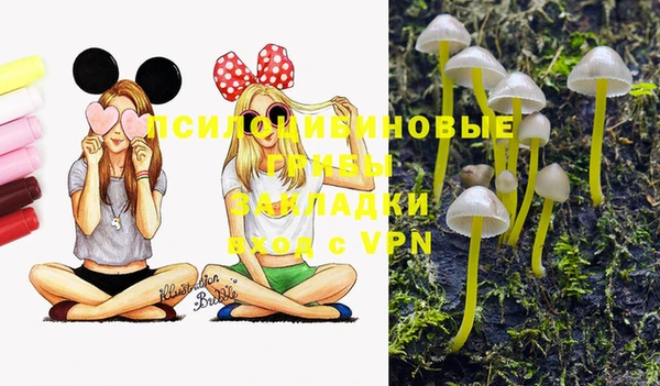дмт Володарск